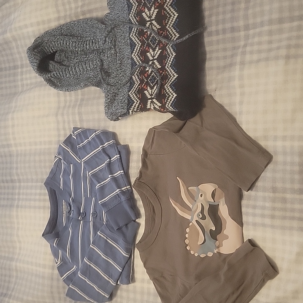 4T Longsleeve lot (Carters/Gap)